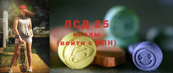 винт Верея