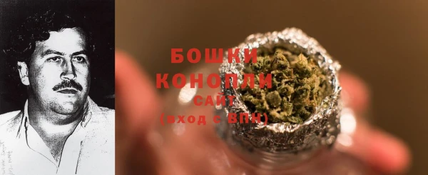 индика Верхнеуральск