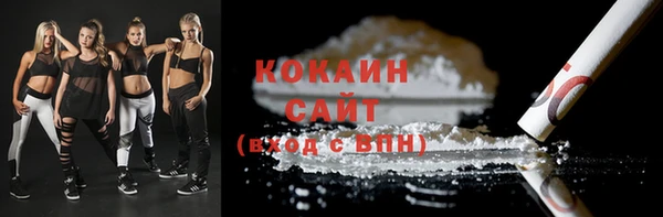 винт Верея