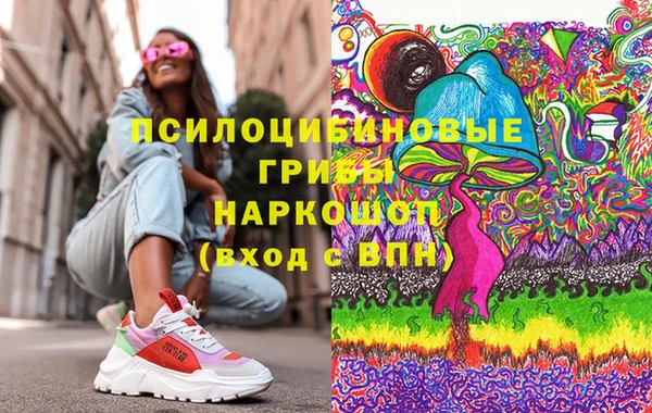 винт Верея